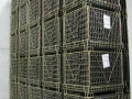 img_4259-gal